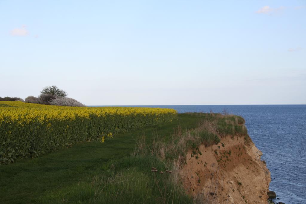 Stevns Klint Strandpension Rodvig Exterior photo